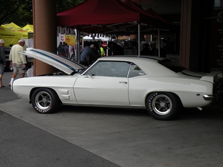 white firebird